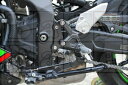 BABYFACE ベビーフェイス セットバックプレート ZX-25R BABYFACE ベビーフェイス セットバックプレート ZX-25R