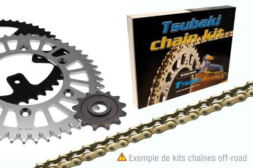 ツバキ チェーン Tsubaki Chain Kit (525-type OMEGA ORS)【ヨーロッパ直輸入品】 17 50 TE570 (570) 01-03