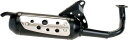テクニガス チャンバー SILENT PRO EXHAUST TECNIGAS FOR KYMCO CURIO, HONDA DIO SYM DD【ヨーロッパ直...