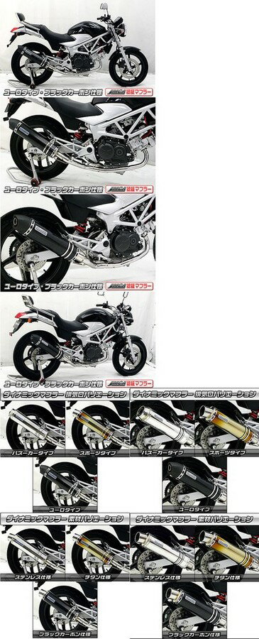 WirusWin ウイルズウィン ダイナミックマフラーユーロタイプJMCA VTR250 HONDA ホンダ フルエキゾーストマフラー マフラー