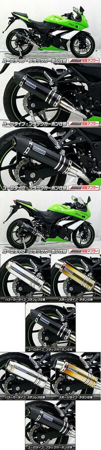WirusWin ウイルズウィン ダイナミックマフラーユーロタイプ　JMCA ニンジャ250R KAWASAKI カワサキ フルエキゾーストマフラー マフラー