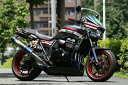 STRIKER ストライカー アンダーカウル ZRX1200ダエグ KAWASAKI カワサキ カウル関連 外装