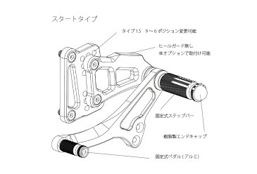 Valter Moto Components バルターモトコンポーネンツ バックステップ スタート RGV250γ (ガンマ)