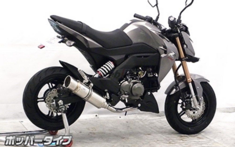WirusWin ウイルズウィン ロイヤルマフラー Z125 プロ