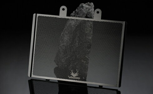 VORGUE ヴォーグ Radiator Core Guard【ラジエターコアガード】 DUKE 200 DUKE 125 KTM KTM KTM KTM