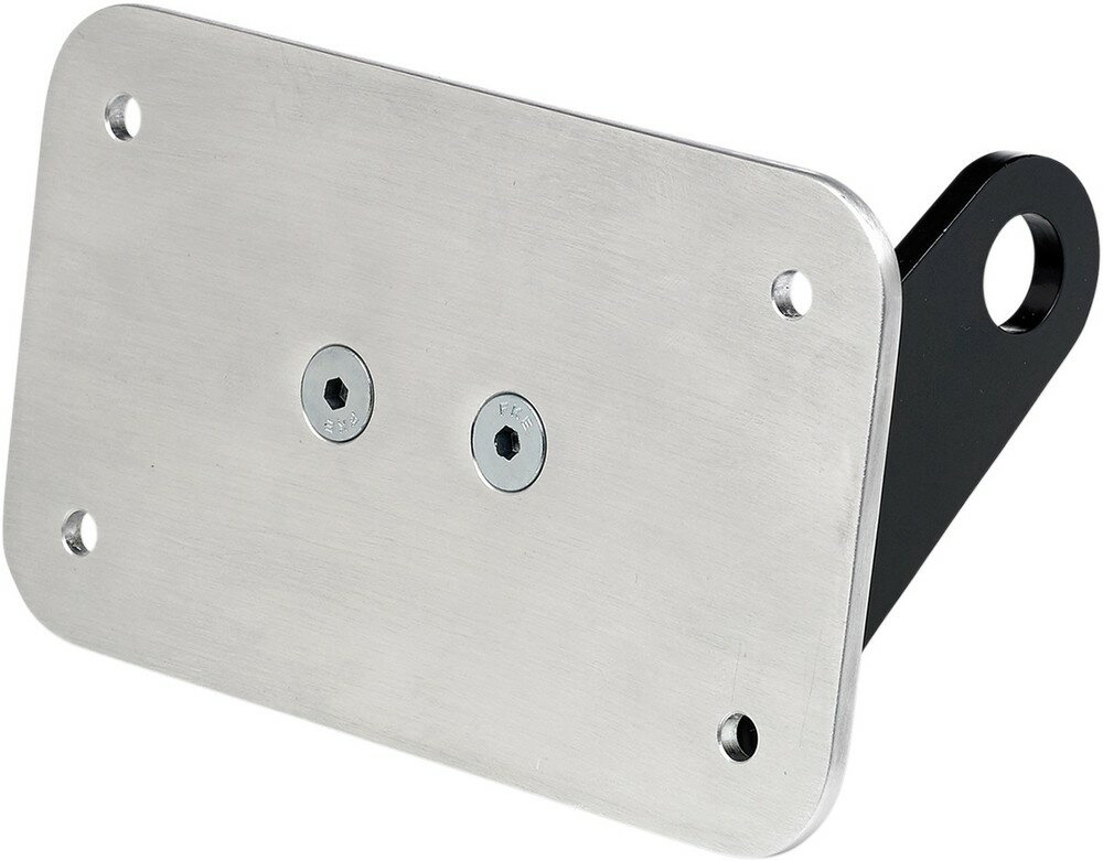 GASBOX ガスボックス ナンバープレートマウント 3/4' アクスル 【MOUNT LIC PLATE 3/4'AXLE [2030-0883]】 サイドナンバーキット 外装