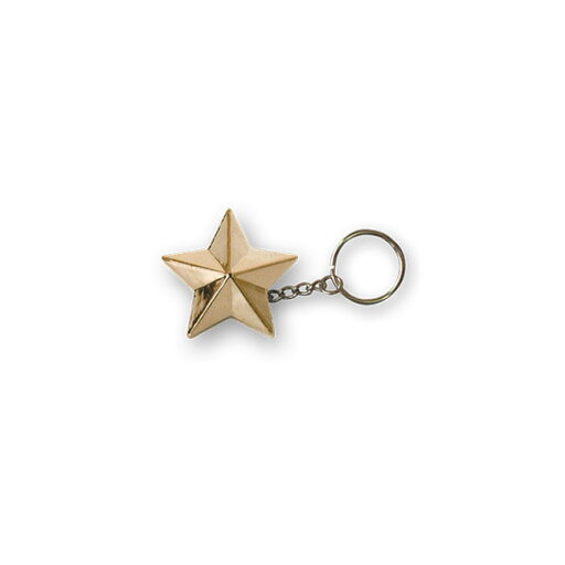 TRIKTOPZ トリックトップズ スターキーチェーン【STAR KEY CHAIN】 キーホルダー バイク関連グッズ TRIKTOPZ トリックトップズ スターキーチェーン【STAR KEY CHAIN】 キーホルダー バイク関連グッズ