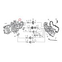 GARDNER-WESTCOTT K[hi[EGXgRbg V_[x[XX^bhyCYLINDER BASE STUDSz 72-85 XL(NU)