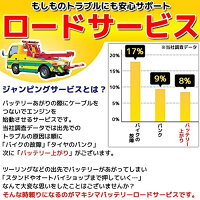 RISECORPORATIONライズコーポレーションマキシマバッテリーシールド型
