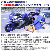 RISECORPORATIONライズコーポレーションマキシマバッテリーシールド型