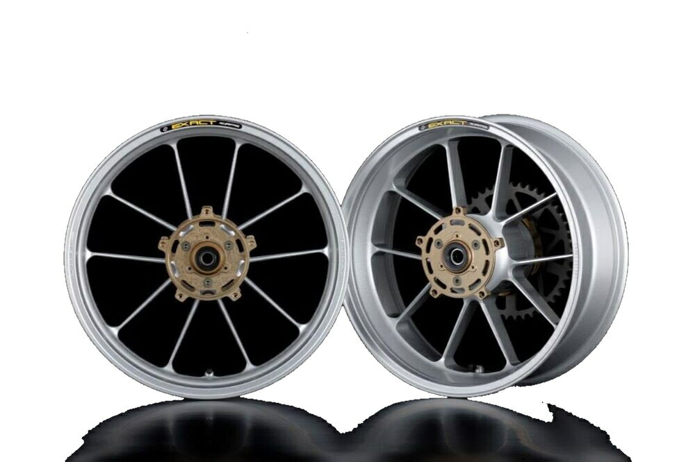 ADVANTAGE アドバンテージ EXACT RACING 10 フル鍛造マグネシウムホイール ZRX1200ダエグ KAWASAKI カワサキ ホイール ホイール関連 足回り