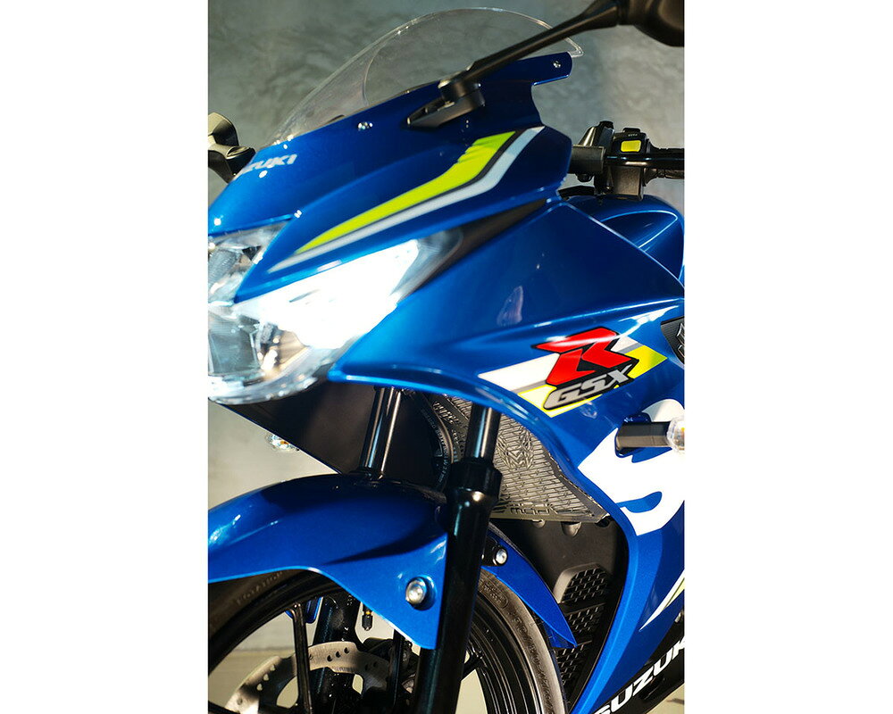 M.A.D. マッド ラジエーターガード GSX-150 R GSX-125 SUZUKI スズキ ラジエーター...