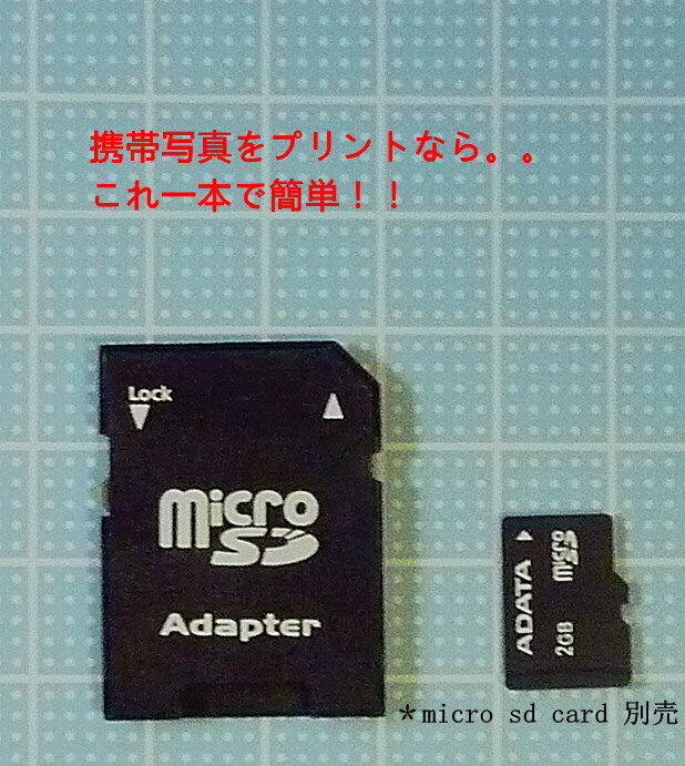 Micro SD Adapter(Х륯)