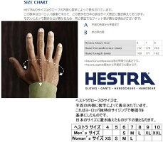 ヘストラスキーグローブミトンゴアテックス3-FINGERGTXFULLLEATHERBLACK(14-1514/152015)hestraスキーグローブ