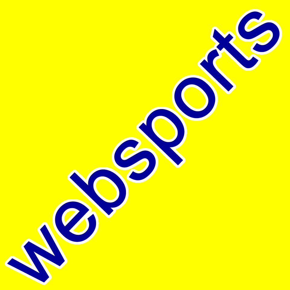 スキー用品通販　WEBSPORTS