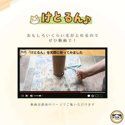 けとるん♪ 猫カフェオーナーさんがたどり着いた抜け毛クリーナー猫 犬 カーペット カーペットクリーナー 毛玉取りブラシ 毛玉 猫の毛 犬の毛 絨毯 掃除 簡単 ペット ペット用品 抜け毛 クリーナー 軽い キャットタワー 便利 便利グッズ - Image 3