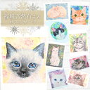 猫作家 福嶋 吾然有(フクシマアサリ)さん ねこの絵柄のポストカード 猫