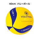 東京ローソク 浮き輪 ビーチボール 40cm バレーボール VBN30040 うきわ 海 バレー プール 海水浴 水遊び ビーチ フロート