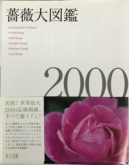 【宅配便のみ】薔薇大図案　2000　草土出版【中古】afb