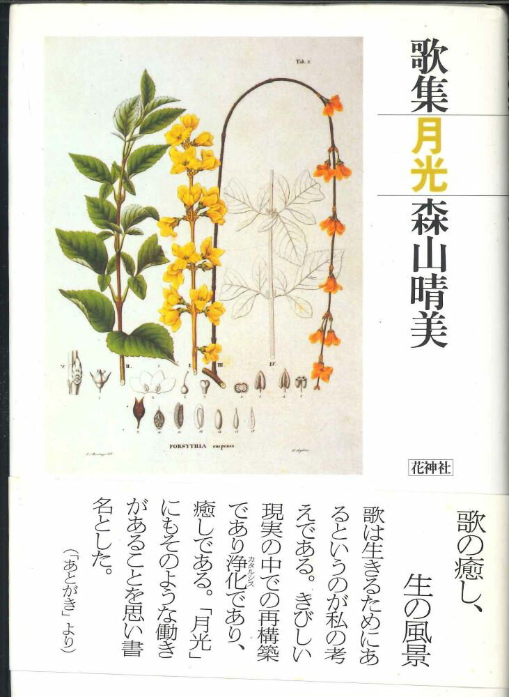 【メール便OK】【歌集】森山晴美歌集　月光【中古】afb