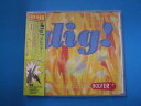 dig! DVD 【中古】afb