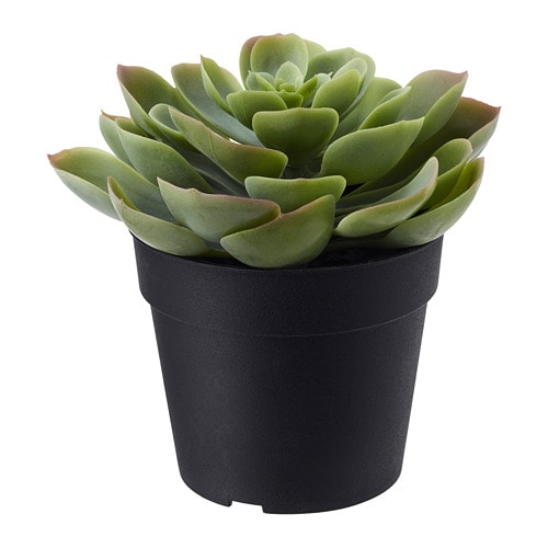 FEJKA フェイカ 人工観葉植物, 室内/屋外用 Succulent(b)(70395296)