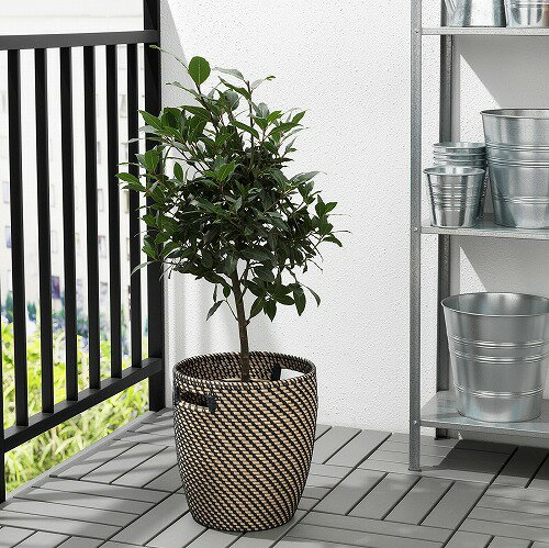 【IKEA/イケア/通販】R&Aring;GKORNローグコルン鉢カバー,室内/屋外用ナチュラル,24cm(80407557)