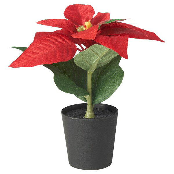 【IKEA/イケア/通販】VINTERFINT ヴィンテルフィント 人工観葉植物 鉢カバー付き, 室内/屋外用 ポインセチア/レッド[A](b)(80562138)のサムネイル