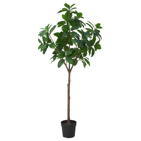 [IKEA/イケア/通販]FEJKA フェイカ 人工観葉植物, 室内/屋外用 モクレン[D](c)(70568895)
