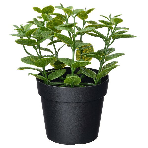 [IKEA/イケア/通販]FEJKA フェイカ 人工観葉植物, 室内/屋外用 ミント, 9 cm[A](b)(20600869)