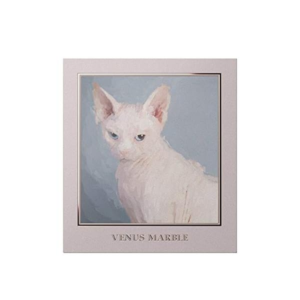 Venus Marble (ヴィーナスマーブル) アイシャドウキャットシリーズ (スフィンクス)