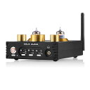 P1 PRO GE5654 HiFi 真空管 プリアンプ Bluetooth 5.0 USB DAC プリアンプ APTX ヘッドホンアンプ ブルートゥース (...