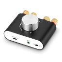 New NS-01G Pro パワーアンプ bluetooth 5.0 100W アンプ スピーカー HiFi オーディオ 電源付き (アップグレード版)