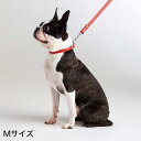 Porta ポルタ ソフトレザーカラー Mサイズ 18mmレッド(4)
