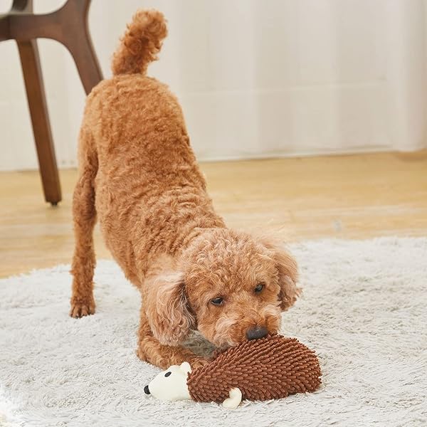 犬用おもちゃ モコモコシャカシャカTOY BIG ハリネズミのサムネイル