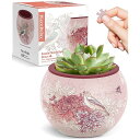 ピースリラックス 80ピース プラ製3D立体植木鉢パズル【鳥のさえずりと花の香り】(10X10X7cm)子供 プレゼント ペン立て 御菓子缶 インテリア[K11...