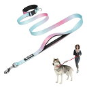 ハンズフリー犬用リード 調節可能な散歩・ランニング用 安全コントロールパッドハンドル付き 重いクラスプ搭載 中型~大型犬用 (ブルーピンクグラデーション,L)