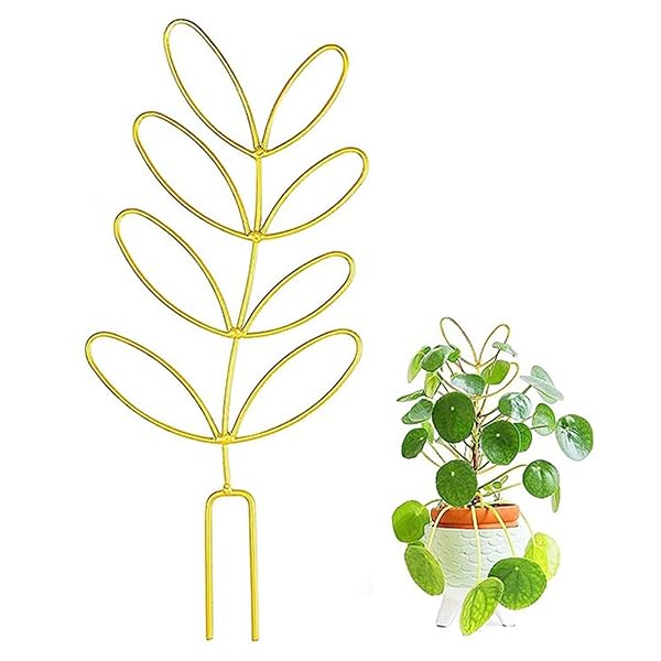 ݻ ʪ ʪݡ տʪ Ĺݡ  ʪݤɻ Ĵǽ