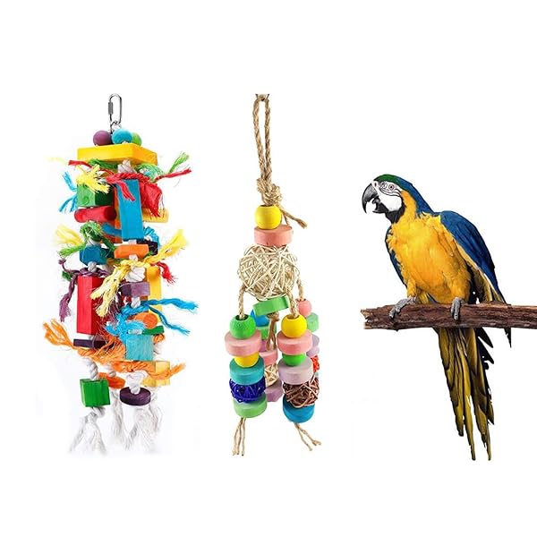    Ļ ȥ쥹 ư 緿  ߲ 2 å