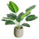 人工観葉植物 旅人葉 幅15cm×奥行15cm×高さ39cm フェイクグリーン 光触媒仕様 陶器鉢付き 簡単世話 水やり不要 (旅人葉)