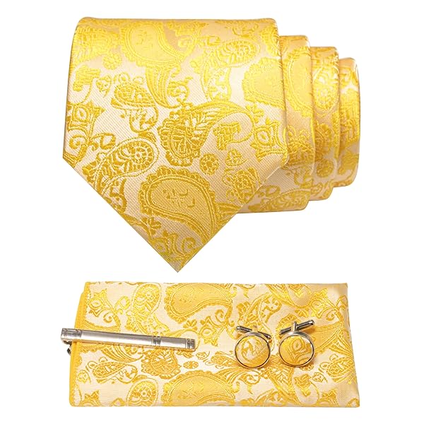 メンズ ネクタイ ペイズリー柄 ピン カフス ボタン チーフ ビジネス 就活 結婚式 入学式 卒業式 二次会..
