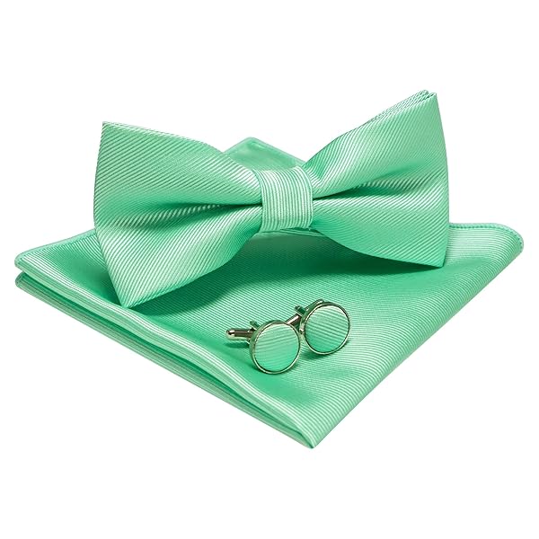 無地蝶ネクタイとポケットチーフ カフスボタン付き メンズ ミントグリーン2