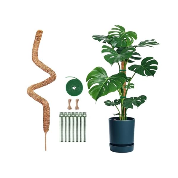 園芸 支柱 160cm 太め 超ロング モンステラ支柱 ココスティック DIY曲げる可能 観葉 つる性植物 植物 誘引 ガーデニング 農業用 園芸用