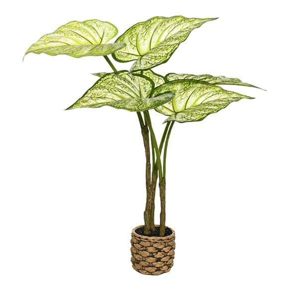 qinhome人工観葉植物 熱帯観葉樹 光触媒 フェイクグリーン フェイク大型 高さ65CM 簡単世話いらず 空気清浄 陶器鉢 鉢は取り外し不可 インテリア 屋内 リビング オフィス (ホワイト)