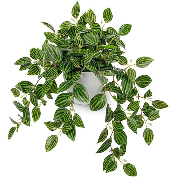 フェイクグリーン インテリア グリーン 人工観葉植物 卓上 鉢植え 造花 エアプランツ 新築祝い 開店祝い 新年 クリスマス オフィス 店 おしゃれ