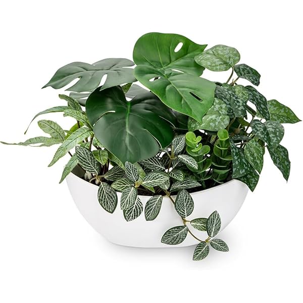 Rakuten - フェイクグリーン インテリア グリーン 人工観葉植物 卓上 鉢植え モンステラ 造花 エアプランツ 新築祝い 開店祝い 新年 クリスマス オフィス 店 卓上 おしゃれ (1, 30CM+PE鉢02)