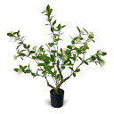 フェイクグリーン 人工観葉植物 造花 光触媒 室内 屋外対応 高さ60cm 卓上 玄関 インテリア 鉢植え 水やり不要 植木 花あり