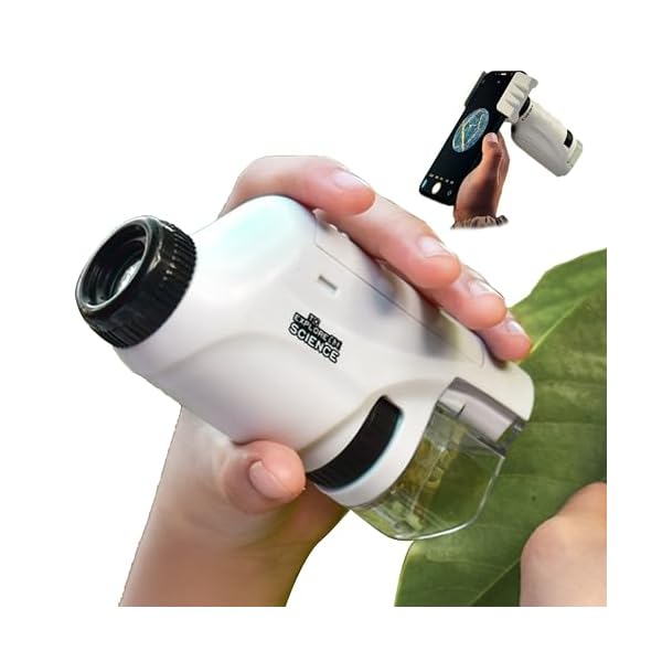 ̤Ʋ㤨ָ 120ܥñ 岼LED饤¢ ϥǥ  Ҷɸܥ饤 ꥹޥ ץ쥼ȡפβǤʤ3,075ߤˤʤޤ