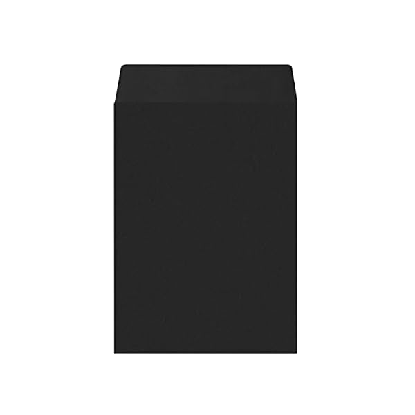 100 ֥å   ꥹޥ뺧 ե ѡƥ 13x17.8cm