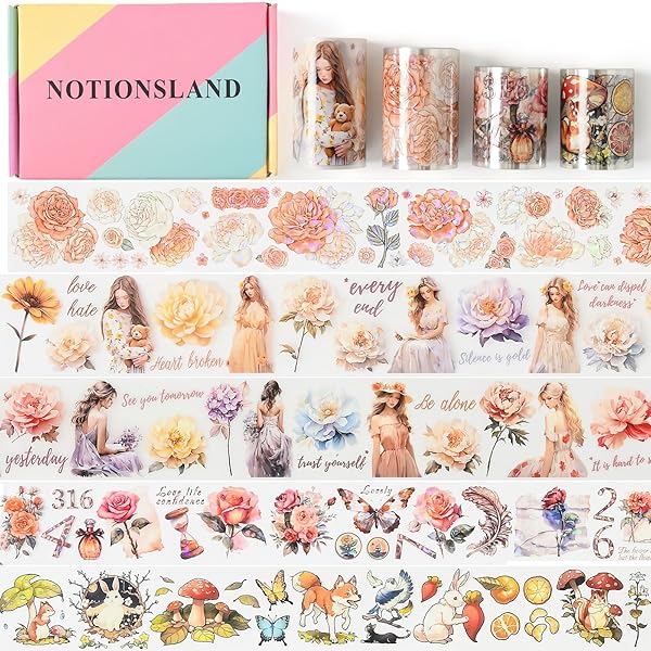 ޥ󥰥ơ İ   λ Ģ DIY ƩPET ơ  (4եȥܥå)